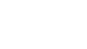 LNVI